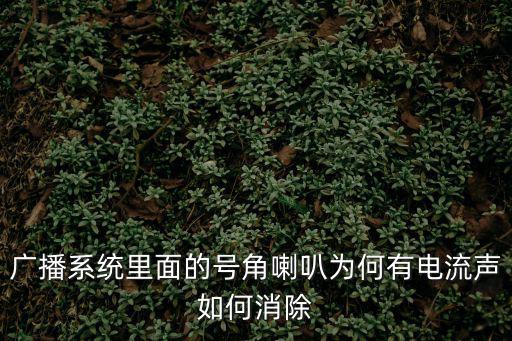 單個廣播有電流聲怎么辦，廣播系統里面的號角喇叭為何有電流聲如何消除