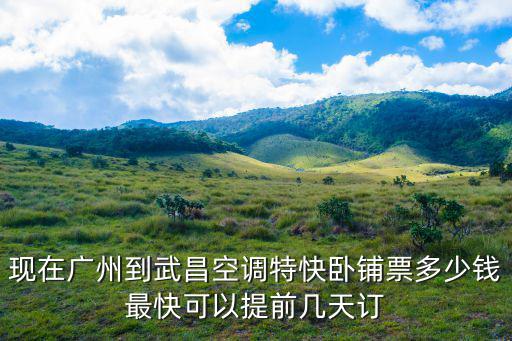 廣州到武昌T254特快，現(xiàn)在廣州到武昌空調(diào)特快臥鋪票多少錢最快可以提前幾天訂