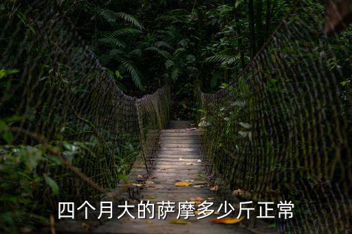 四個月薩摩一頓喂多少，四個月大的薩摩多少斤正常