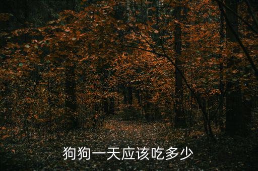 70斤的狗一天吃多少時間，成年黑背一天吃多少狗糧狗的體重為70斤