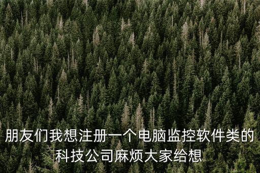 怎么注冊監(jiān)控科計公司，朋友們我想注冊一個電腦監(jiān)控軟件類的科技公司麻煩大家給想