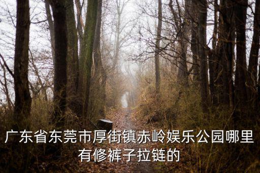 廣東省東莞市厚街鎮(zhèn)赤嶺娛樂公園哪里有修褲子拉鏈的