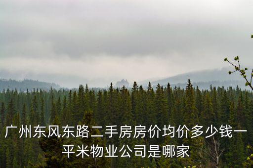 廣州東風(fēng)東路二手房房價均價多少錢一平米物業(yè)公司是哪家