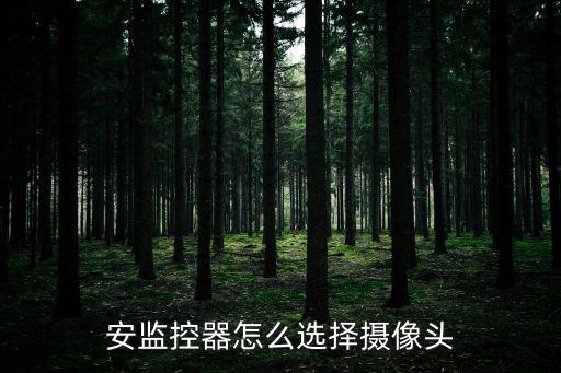 安監控器怎么選擇攝像頭