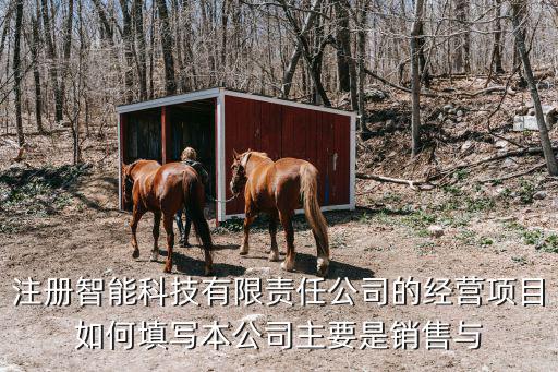注冊智能科技有限責任公司的經營項目如何填寫本公司主要是銷售與