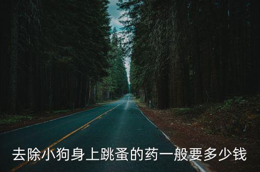 寵物吃滅跳蚤藥片多少錢，去除小狗身上跳蚤的藥一般要多少錢
