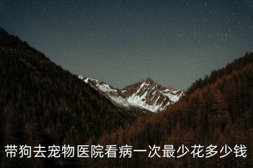 帶狗去寵物醫院看病一次最少花多少錢