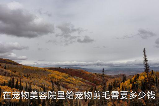 4個月的泰迪剪毛多少錢，幫狗狗剪一次毛要幾錢