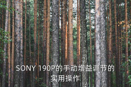 SONY 190P的手動(dòng)增益調(diào)節(jié)的實(shí)用操作
