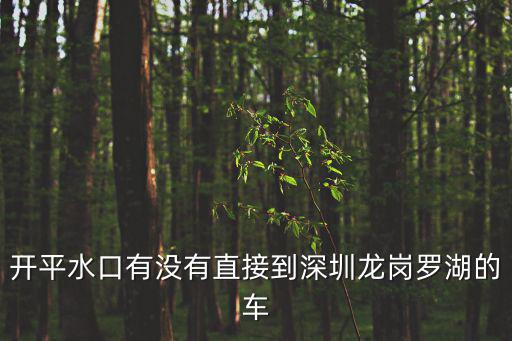 開平水口有沒有直接到深圳龍崗羅湖的車