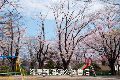 海康到底怎么做售后