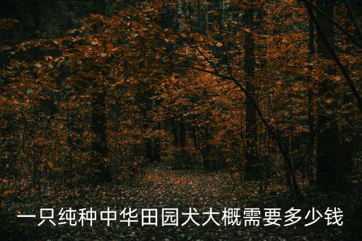 純種中華田園犬多少錢，一只中華田園犬的價格是多少