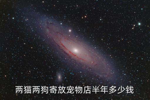 小貓寄養一天多少錢，狗放在寵物院托養要多少錢