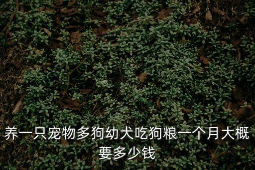 養一只寵物多狗幼犬吃狗糧一個月大概要多少錢