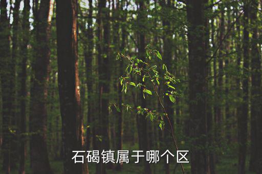 石碣鎮屬于哪個區