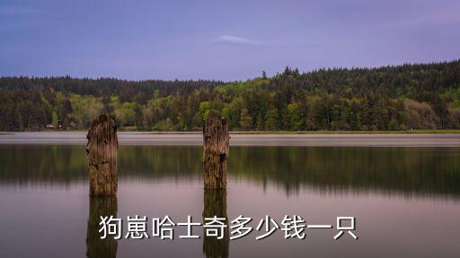 狗崽哈士奇多少錢一只