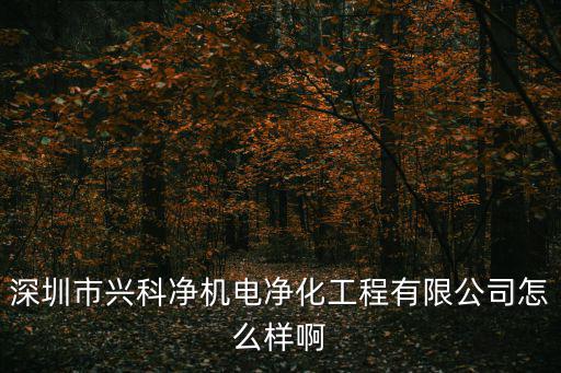 深圳市興科凈機(jī)電凈化工程有限公司怎么樣啊