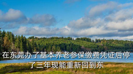 在東莞辦了基本養老參保繳費憑證后停了三年現能重新回到東