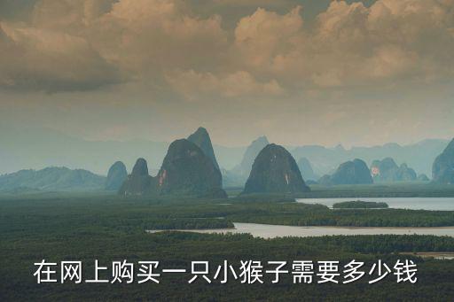 在網(wǎng)上購(gòu)買(mǎi)一只小猴子需要多少錢(qián)