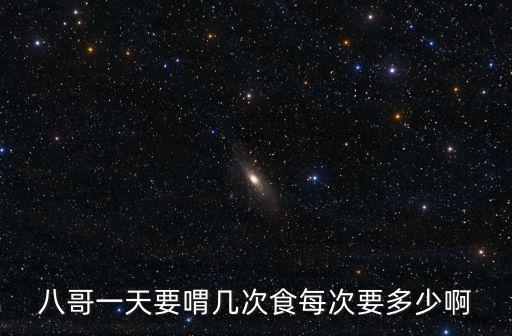 小八哥每天吃多少錢，小八哥一天要吃多少食