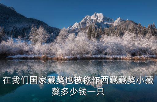 現(xiàn)在藏獒價(jià)格是多少錢(qián)一只，藏獒狗多少錢(qián)一只 純種藏獒價(jià)格是多少