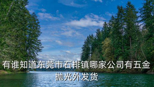 有誰知道東莞市石排鎮哪家公司有五金拋光外發貨