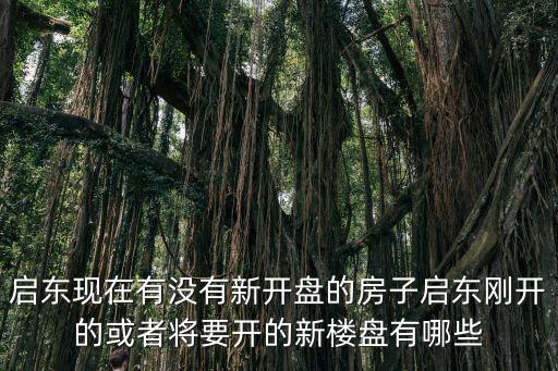 啟東現在有沒有新開盤的房子啟東剛開的或者將要開的新樓盤有哪些