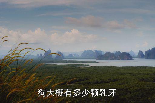 狗大概有多少顆乳牙