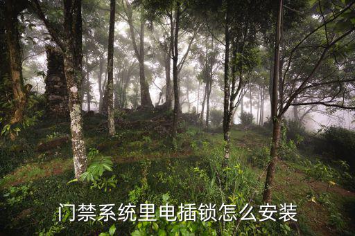 門禁電鎖是怎么用的，門禁系統里電插鎖怎么安裝