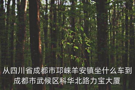 從四川省成都市邛崍羊安鎮(zhèn)坐什么車到成都市武候區(qū)科華北路力寶大廈