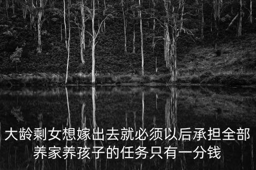 大齡剩女想嫁出去就必須以后承擔全部養家養孩子的任務只有一分錢