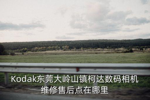 Kodak東莞大嶺山鎮(zhèn)柯達數(shù)碼相機維修售后點在哪里