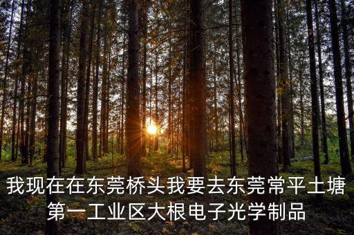 我現(xiàn)在在東莞橋頭我要去東莞常平土塘第一工業(yè)區(qū)大根電子光學(xué)制品