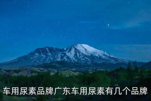 車用尿素品牌廣東車用尿素有幾個品牌