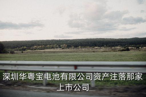 深圳華粵寶電池有限公司資產(chǎn)注落那家上市公司