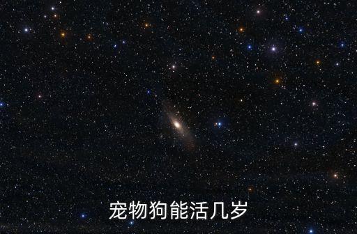 寵物狗能活幾歲
