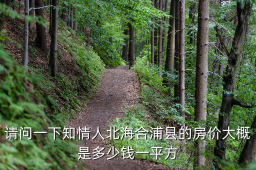 請問一下知情人北海合浦縣的房價大概是多少錢一平方