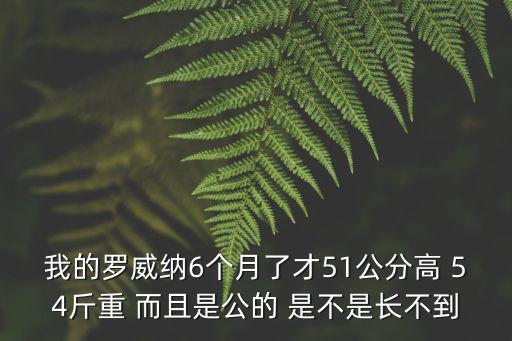 母羅威納能長到多少斤，我的羅威納6個(gè)月了才51公分高 54斤重 而且是公的 是不是長不到