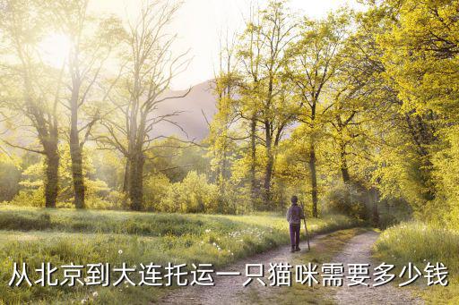 從北京到大連托運一只貓咪需要多少錢
