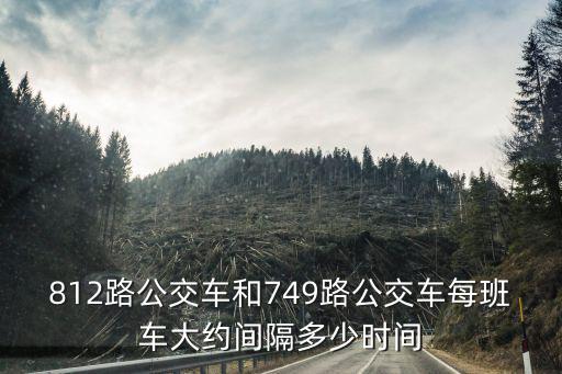812路公交車和749路公交車每班車大約間隔多少時間