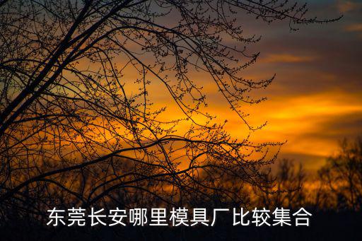 東莞長安匯科模具，東莞長安哪里模具廠比較集合