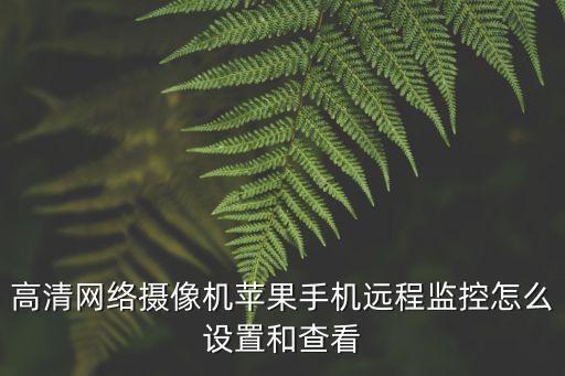 高清網(wǎng)絡(luò)攝像機(jī)蘋果手機(jī)遠(yuǎn)程監(jiān)控怎么設(shè)置和查看