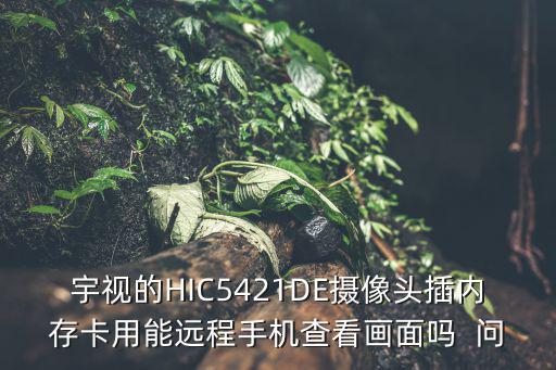 宇視的HIC5421DE攝像頭插內存卡用能遠程手機查看畫面嗎  問