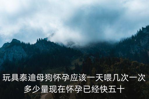 玩具泰迪母狗懷孕應該一天喂幾次一次多少量現在懷孕已經快五十