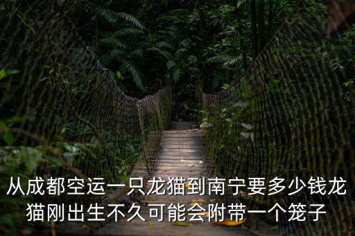 空運(yùn)龍貓箱子多少錢，從北京運(yùn)送一只龍貓到山東東營(yíng)需要多少錢