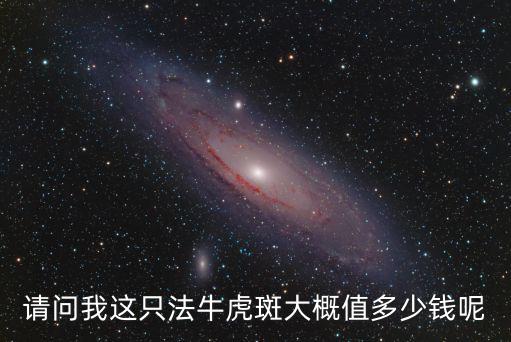 請問我這只法牛虎斑大概值多少錢呢