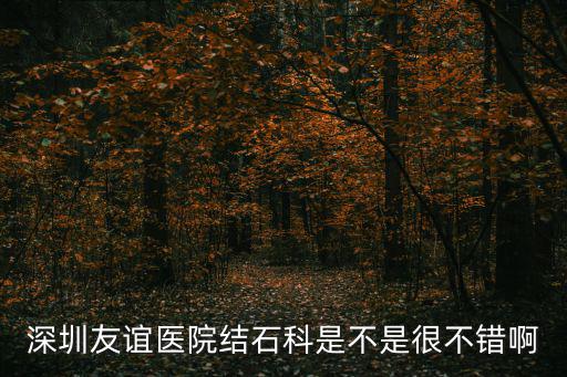 深圳友誼醫院結石科是不是很不錯啊