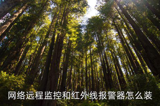 網(wǎng)絡遠程監(jiān)控和紅外線報警器怎么裝