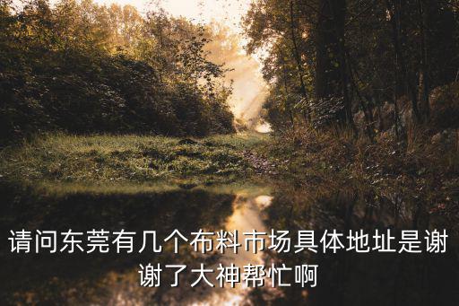 請問東莞有幾個布料市場具體地址是謝謝了大神幫忙啊