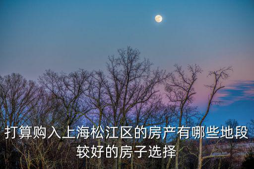 打算購入上海松江區的房產有哪些地段較好的房子選擇